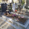 Гранит, паметници, Варна, Тополи